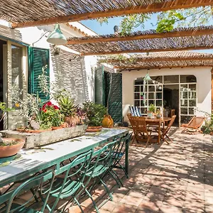 Bed & Breakfast Etna La Casa Di Pippinitto